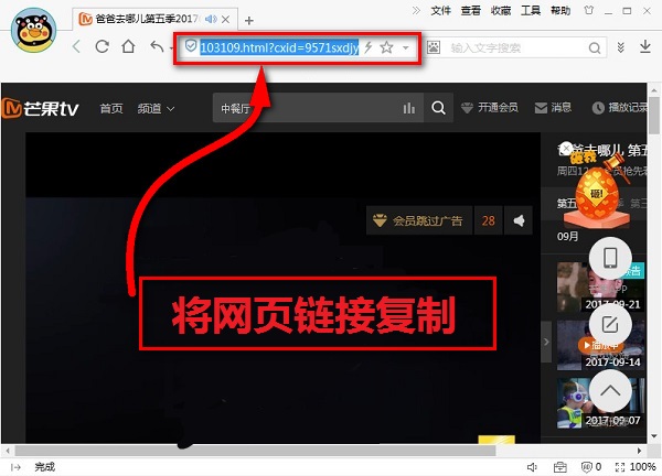 het播放器