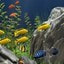 梦幻水族馆屏保汉化版v1.234